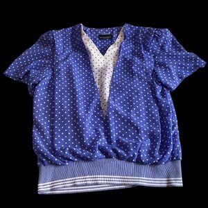 Beautiful Vintage Sheer Blue and White Ladies Top - Blouse